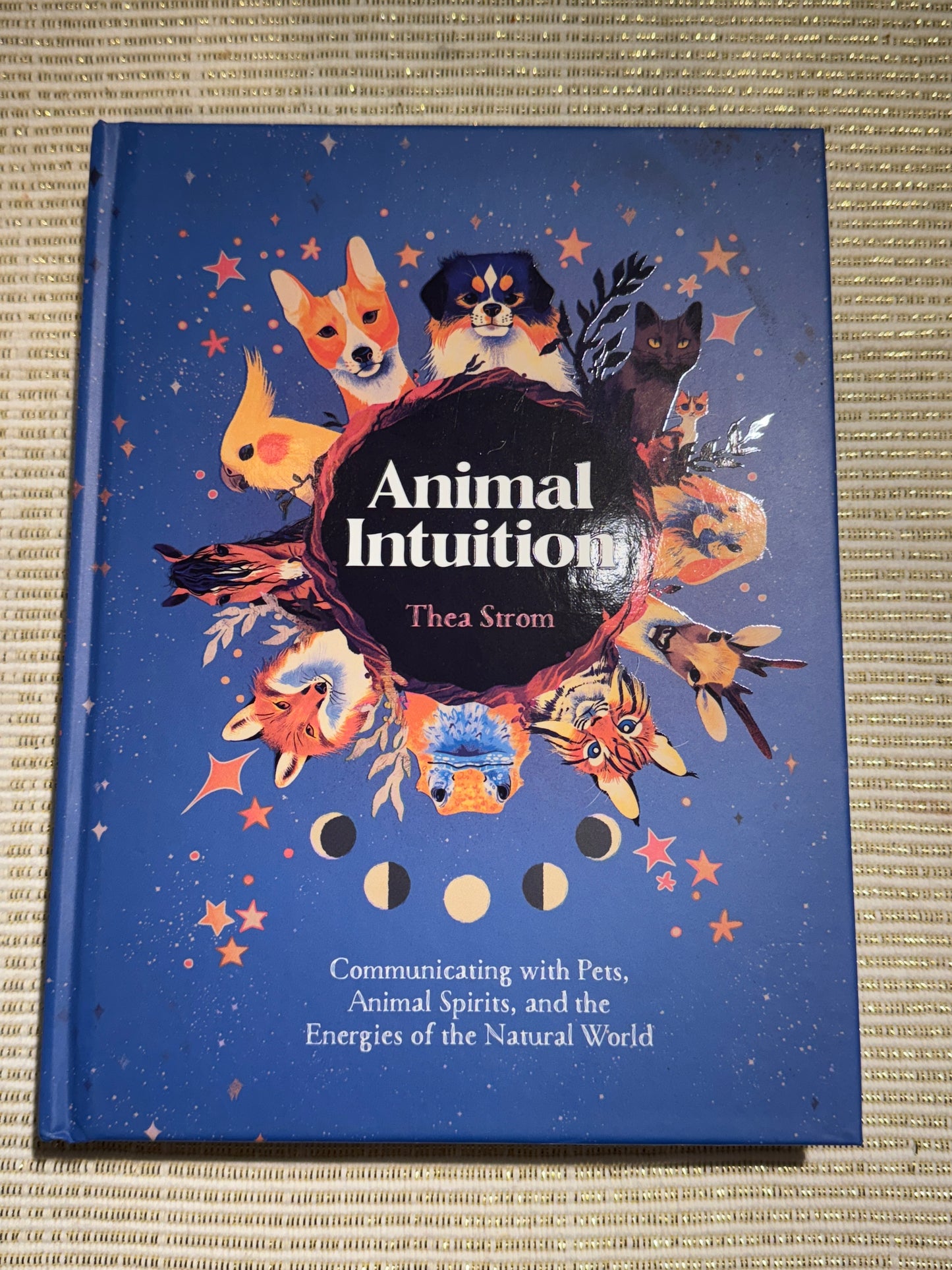 Animal intuition Book